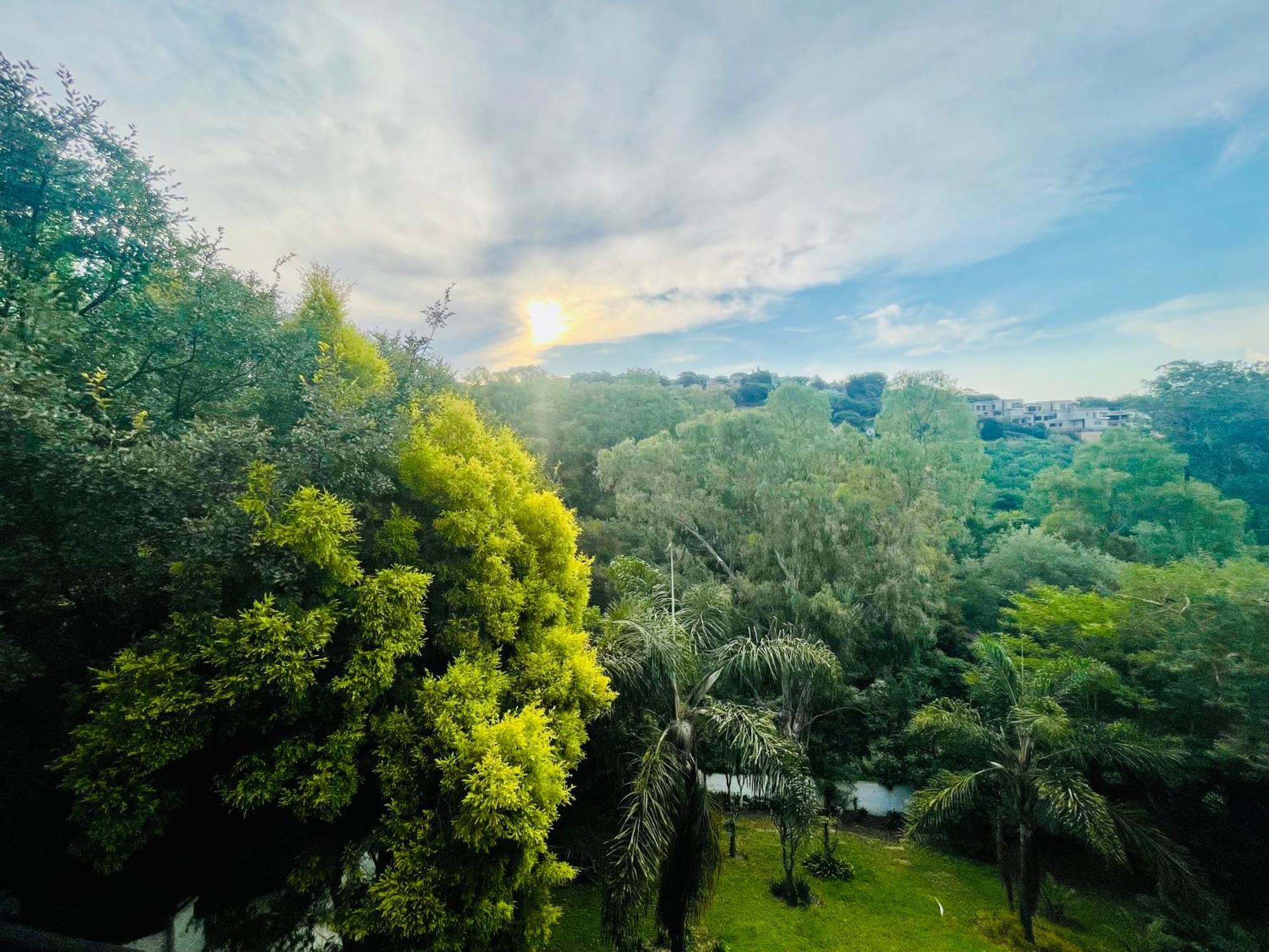 Pretoria Mansion Boutique Hotel Coral Tree Exteriér fotografie